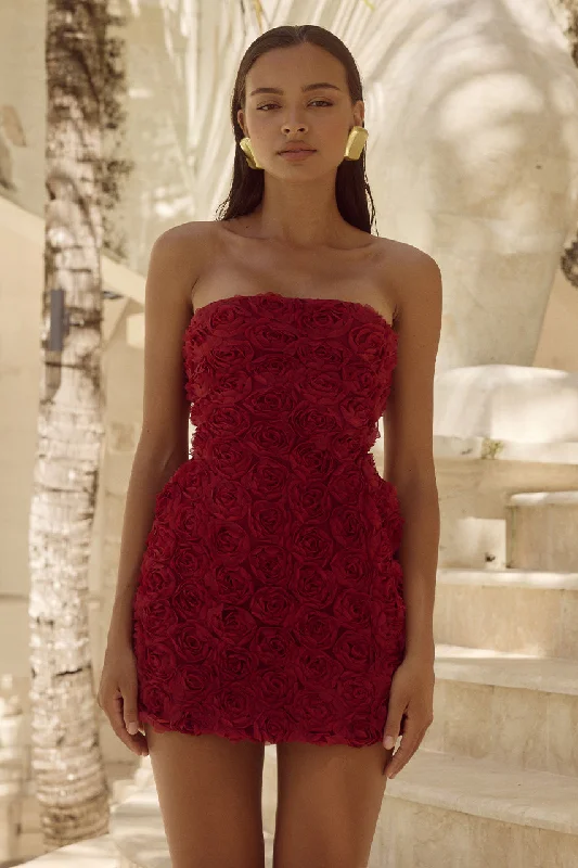Rosalina Mini Dress - Cherry Elegant Lace Mini Dress